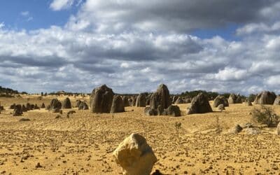 The Temptation in the Wilderness – Matthew 4:1–11